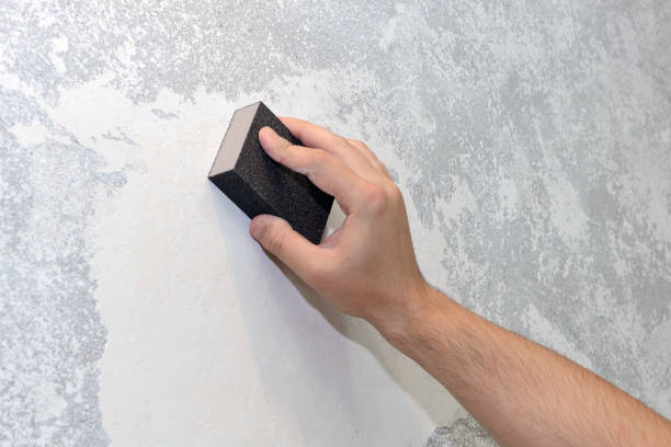 Best Forensic Mold Investigation  in Beechwood Trails, OH