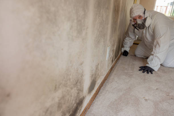 Best HVAC Mold Inspection and Cleaning  in Beechwood Trails, OH